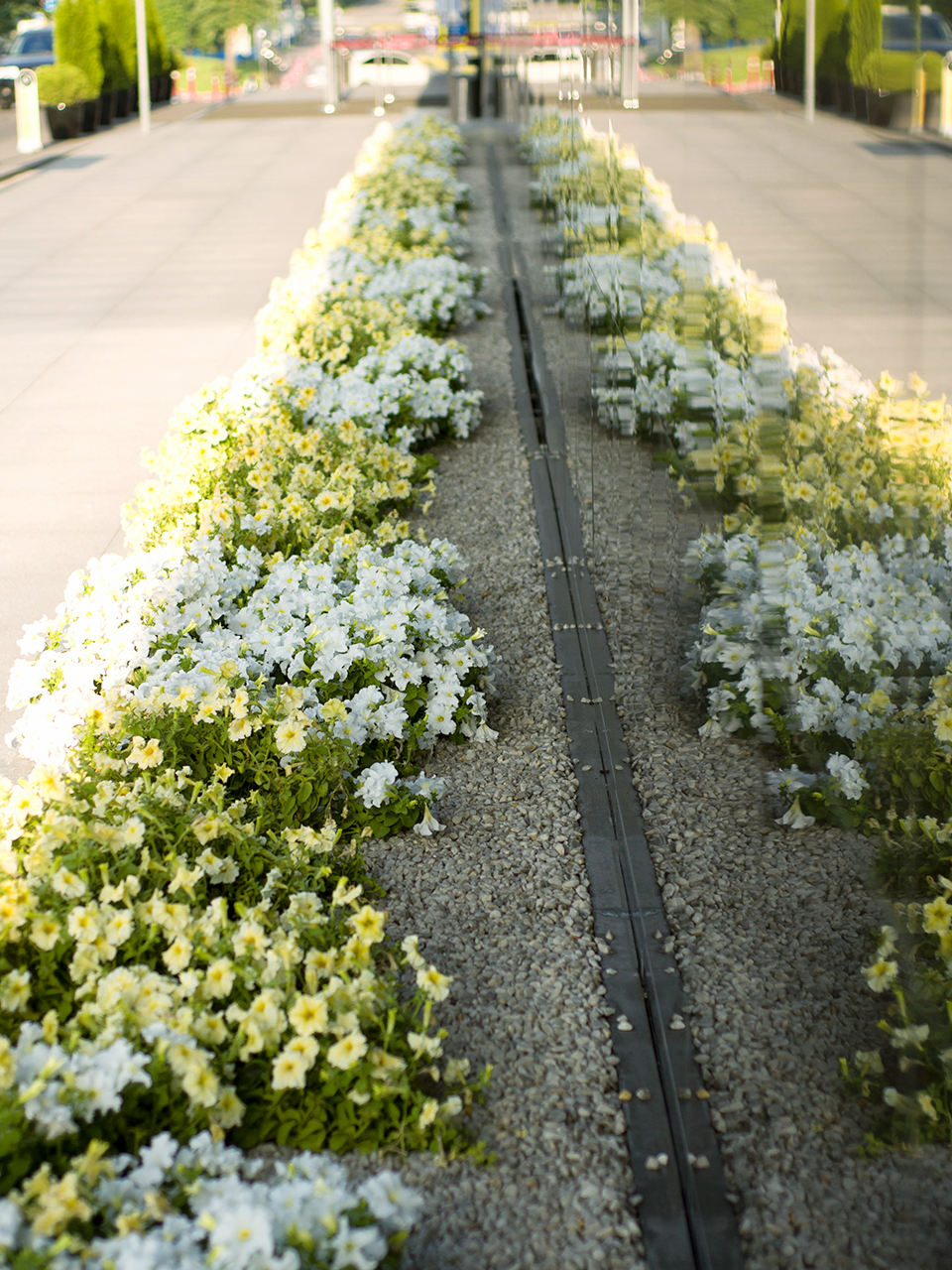 villa park озеленение проекты