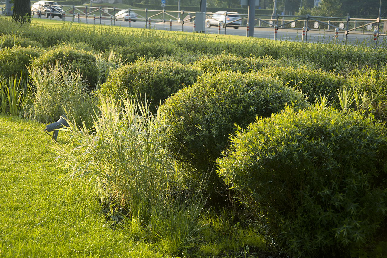 villa park благоустройство проекты