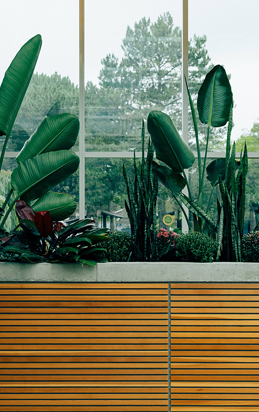 villa park озеленение