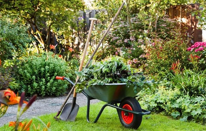 услуги уход за садом