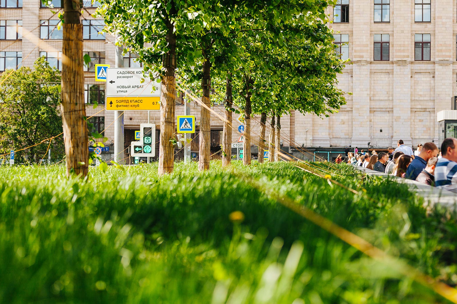 Озеленение и благоустройство городских территорий